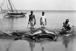 15 интересных и захватывающих исторических снимков со всего мира