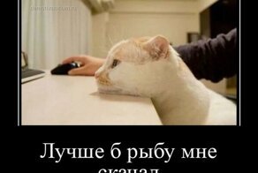 Демотиваторы 