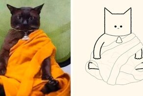 Смешные схематичные рисунки котов