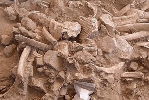 Люди поселились в Северной Америке гораздо раньше, чем мы думаем