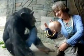 Видео подборка неудачников марта 2012 (видео)