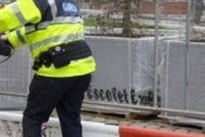 Конь положил на полицейского (2 фото)