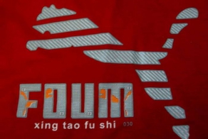 Поддельные китайские бренды (38 фото)