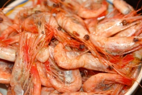 Руководство по морепродуктам: креветки. Как вас обманывают (8 фото)