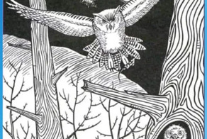 Японский тест проверки мозга