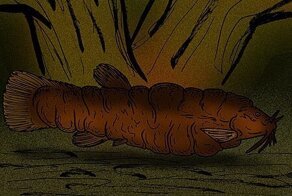 Очаровательная редкость: животные, которых уже практически невозможно встретить