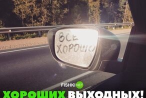 Пятничная подборка юмора для автолюбителей