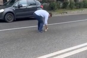 "Понял, Вася?": сочинец проучил приезжего, выбросившего мусор на дорогу