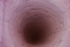 Изнанка мифа о норах Валумбе