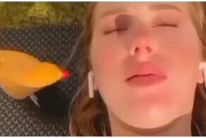 Пернатый воришка стащил у девушки наушник