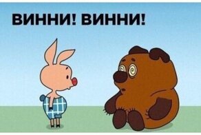 В Турции спасли медведя, опьяненного галлюциногенным мёдом