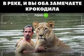 Йожика картинки. Выпуск 185