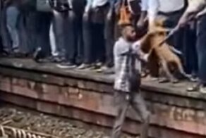 Индус спас собаку, которая чуть не попала под поезд