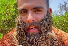 Невозмутимый ливанец позволяет сотням пчел ползать по своей бороде