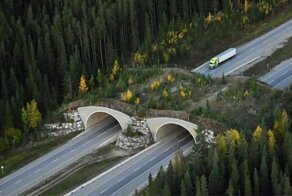 Маленькие архитектурные шедевры