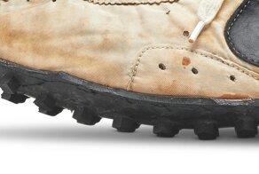 Бесчувственный мозг, Nike из вафельницы и другие любопытные факты из разных сфер