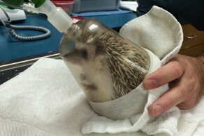 17 закулисных фото работников разных профессий