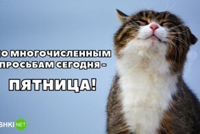 Йожика картинки. Выпуск 189