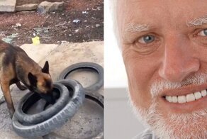 Все за раз - принцип присущий не только мужчинам