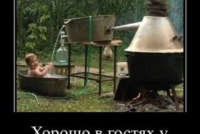 Демотиваторы: котики, отношения  и работа
