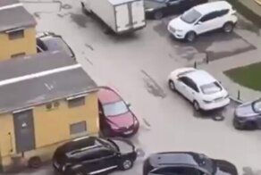 В борьбе за парковочное место все средства хороши