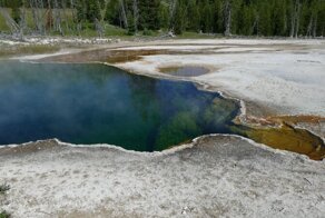 В горячем источнике Йеллоустоуна нашли плавающую ногу