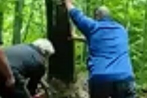 Отомстило: почему не нужно стоять рядом с падающим деревом