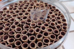 16 гениальных идей, которые были воплощены в реальность