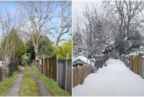 Тропа у дома⁠⁠: годовая съёмка прогулки со сменой времён года