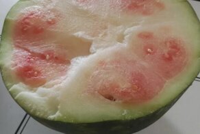 27 ситуаций, в которые никому не хотелось бы попасть