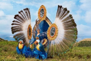 В солнечной Бразилии, Бразилии моей, такое изобилие невиданных зверей (с) (8 фото)