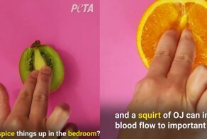 Очередной креатив от PETA: мясоеды возбудились?