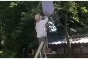 Неприятное знакомство:  владелец участка против улья