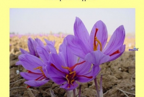 Книга всеобщих заблуждений. Часть 5. (30 фото)