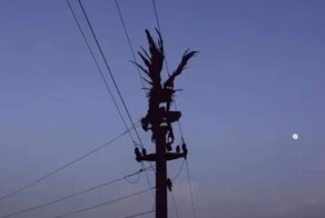 18 диких фото, после которых хочется вымыть глаза