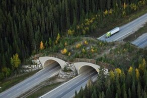 30 примеров простого, но умного дизайна