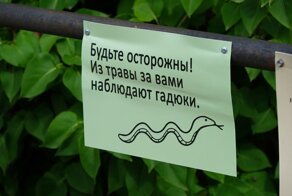 16 забавных объявлений, которые вызовут улыбку