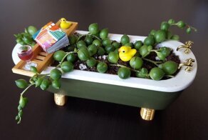 15 случаев, когда люди превратили скучные горшки для растений в настоящие арт-объекты