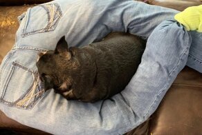 15 умников, которые заслуживают награду за свою смекалку