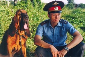 20 коротких фактов о сериале "Участок"