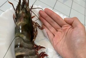 30 любопытных кадров, которыми поделились на просторах сети