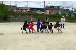 Свой игрок в чужой команде