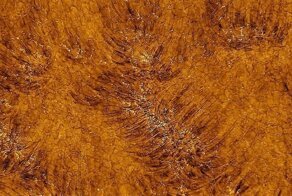 Телескоп «Иноуэ» запечатлел хромосферу Солнца в рекордном качестве