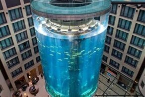 15 увлекательных фотографий необыкновенных вещей