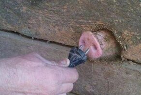 Россия в ответ на предложение Макрона свернуть СВО нанесла удар по стандартам НАТО