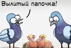 Бытовые ситуации с нетипичной стороны:  18 юморных комиксов