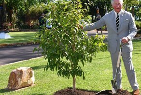 Замена меблировки, беседы с деревьями и индивидуальное сиденье для унитаза: милые причуды Карла III