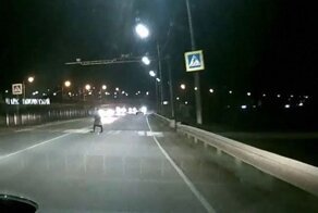 Авария дня. Отличный камуфляж