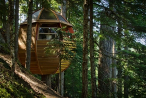 Домик на дереве (13 фото)