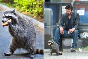 45 победителей фотошоп-битв, которые делают Интернет гораздо веселее